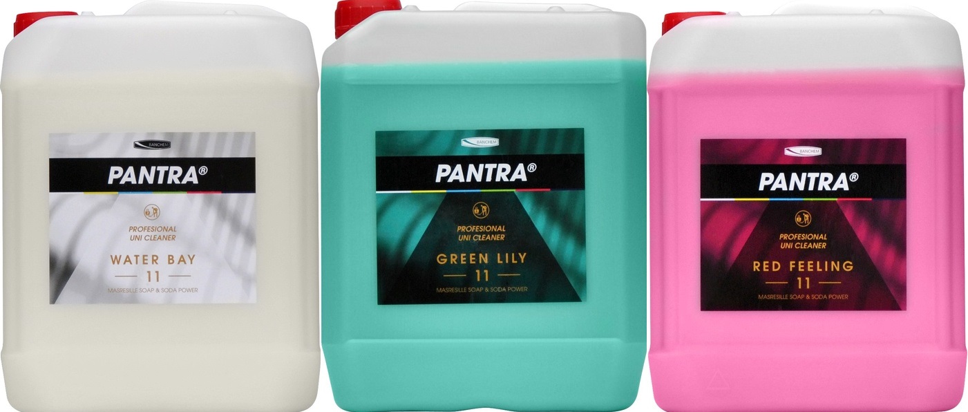 PANTRA PROFESIONAL 11