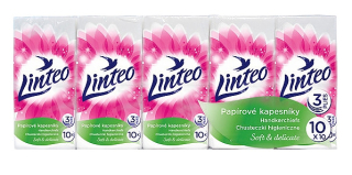 HYGIENICKÉ KAPESNÍČKY pack - 3 - vrstvé