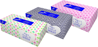 LINTEO / ASTRA kapesníčky v krabičce 2-V 200ks