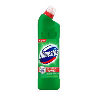 DOMESTOS EXTENDED POWER